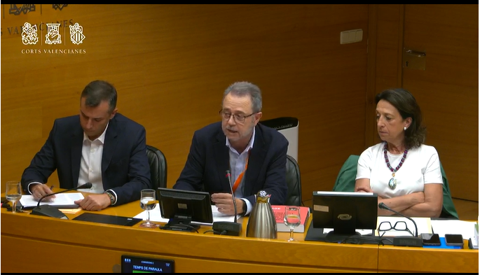 Comparecencia CACV Corts